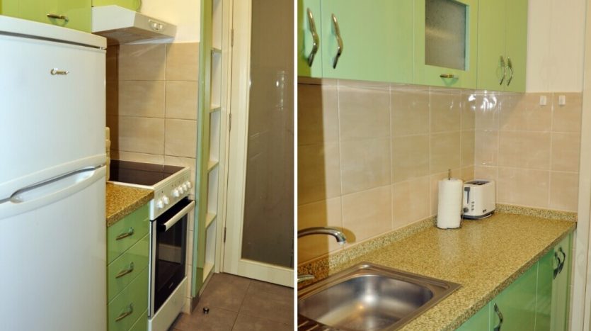apartment kiwi kitchen