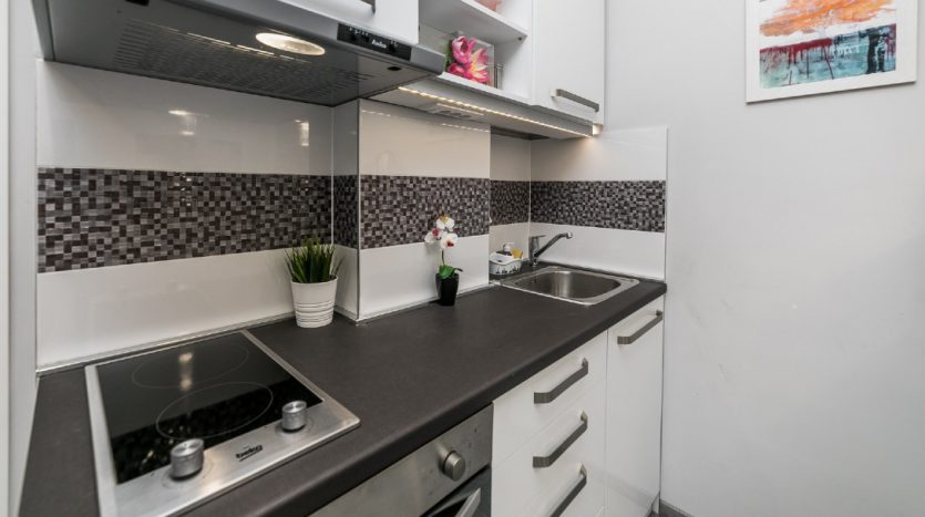 One-bedroom Apartment City kitchen
